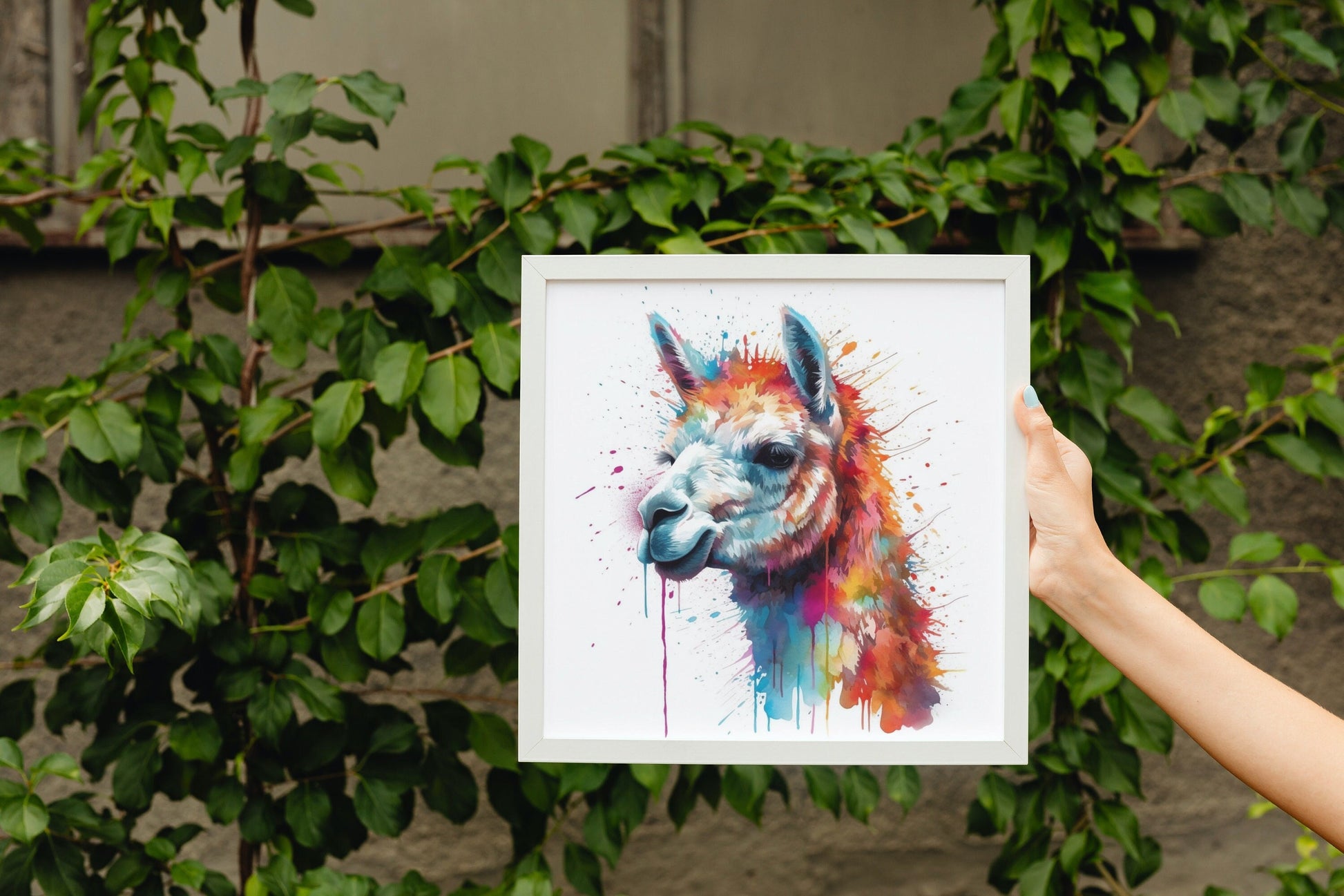 Watercolor Alpaca Premium Print - Colorful Unframed Painting Poster - Wildlife Animal Wall Art, Farm Decor, Farmer Gift, Multicolor Wall Art - CanvasityCrafts - Free Shipping