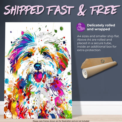 Coton De Tulear Poster Print. Abstract Watercolour Paint Splash Wall Decor Gift, Colourful White Dog Lover Painting, Splatter Paint Portrait - CanvasityCrafts - Free Shipping