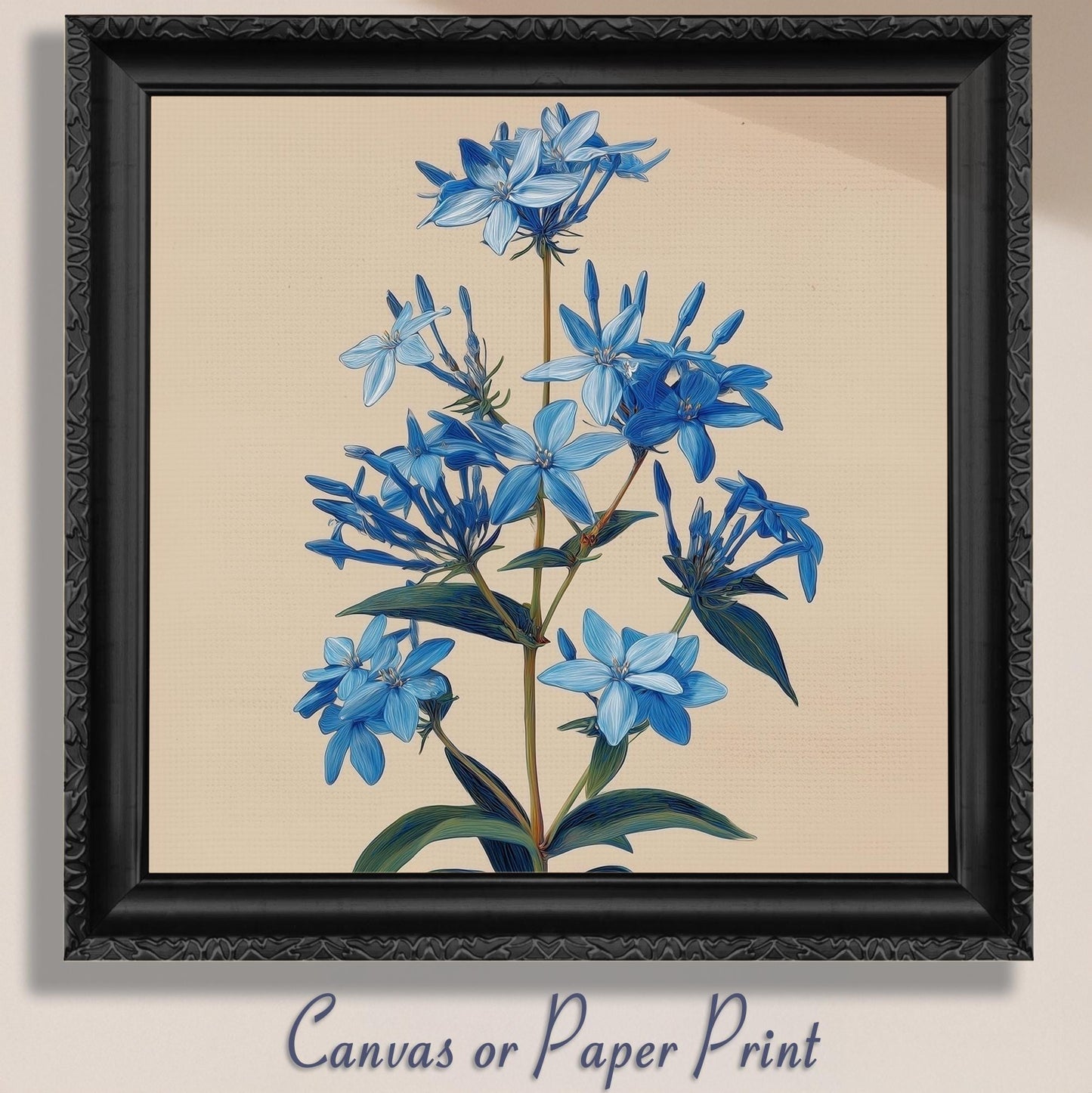 Blue Bluestar Flower Canvas / Unframed Print. Amsonia Blue Star Wildflower Picture Poster, Navy Wall Decor, Glamorous Minimalist Floral Art - CanvasityCrafts - Free Shipping