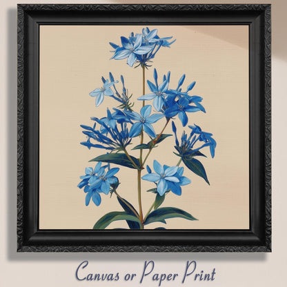 Blue Bluestar Flower Canvas / Unframed Print. Amsonia Blue Star Wildflower Picture Poster, Navy Wall Decor, Glamorous Minimalist Floral Art - CanvasityCrafts - Free Shipping
