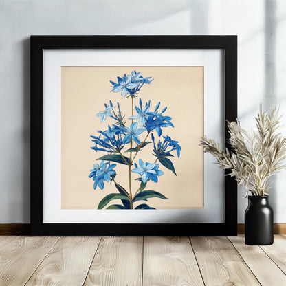 Blue Bluestar Flower Canvas / Unframed Print. Amsonia Blue Star Wildflower Picture Poster, Navy Wall Decor, Glamorous Minimalist Floral Art - CanvasityCrafts - Free Shipping