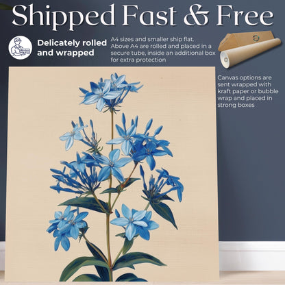 Blue Bluestar Flower Canvas / Unframed Print. Amsonia Blue Star Wildflower Picture Poster, Navy Wall Decor, Glamorous Minimalist Floral Art - CanvasityCrafts - Free Shipping