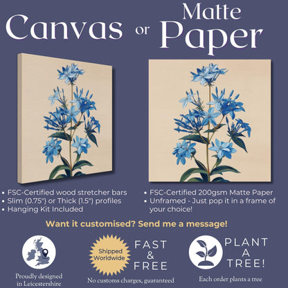 Blue Bluestar Flower Canvas / Unframed Print. Amsonia Blue Star Wildflower Picture Poster, Navy Wall Decor, Glamorous Minimalist Floral Art - CanvasityCrafts - Free Shipping