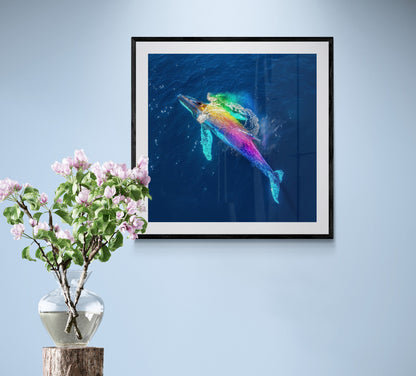 Humpback Whale in a Rainbow Mist Poster Print (Square). Marine Animal, Nautical Decor Sea Life Lovers Gift. Colourful realistic picture - CanvasityCrafts - Free Shipping