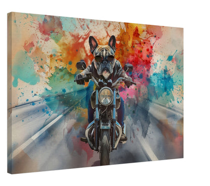 French Bulldog Motorbike Canvas Print. Funny Animal Wall Art Gift for Bikers, Motorcycle Owner, Frenchie Mom, Dad. Paint Splash Painting - CanvasityCrafts - Free Shipping