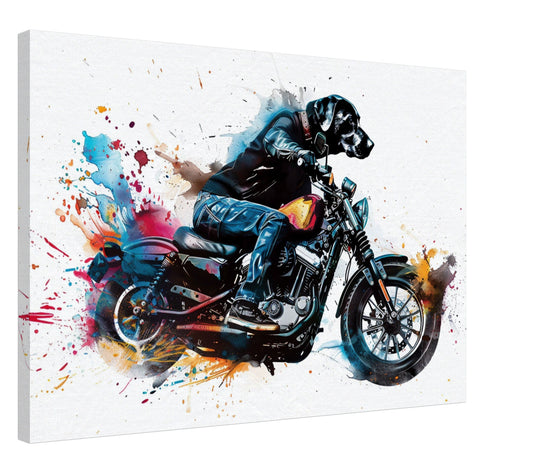 Black Labrador Motorbike Canvas Print. Funny Animal Wall Art Gift for Bikers, Motorcycle Owner, Lab Dad. Paint Splash Painting - CanvasityCrafts - Free Shipping