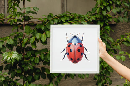 Ladybug on White Background Art Print, Ladybird Painting Poster, Colourful Animal Wall Art Gift, Lady Bug Ladybird Beetle, Garden Animal Art - Posters - Colourful wall art by Canvasity Crafts