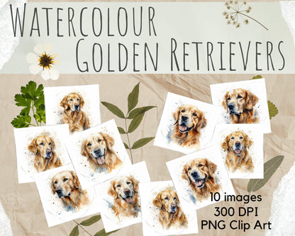 Watercolour Golden Retriever Dog Clipart | 10 PNG images - 300 DPI Instant Download | For Dog Lovers | Commercial Use - Clipart - Colourful wall art by Canvasity Crafts